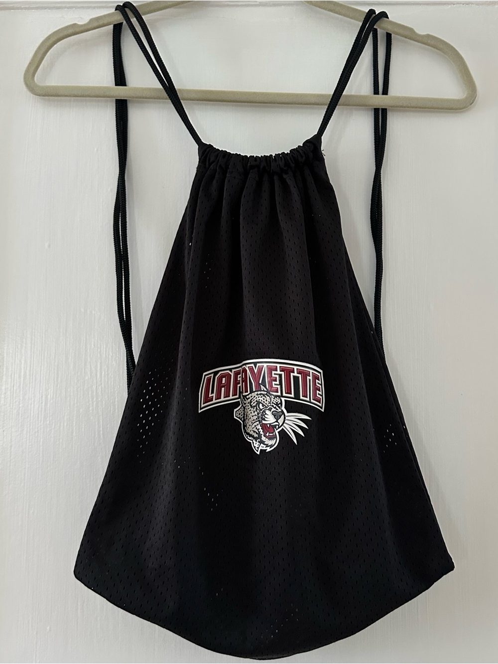 Lafayette College Drawstring Backpack ❤️